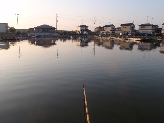 朝6時の風景です