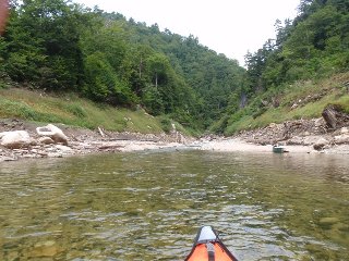 あぁやっぱり居たか…