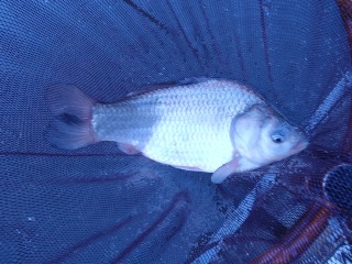 日陰は寒いです