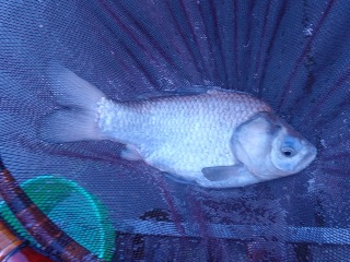 これでおしまい