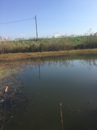 良い天気です