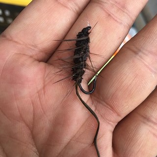 濡れると意外に地味だな