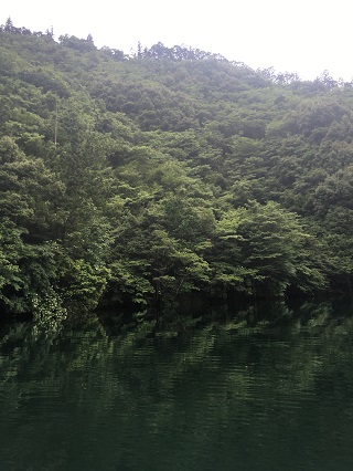 ダム湖っぽい