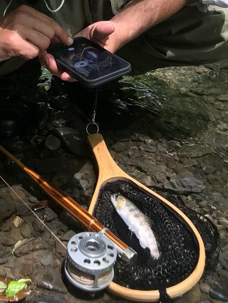 河合さんの写真から