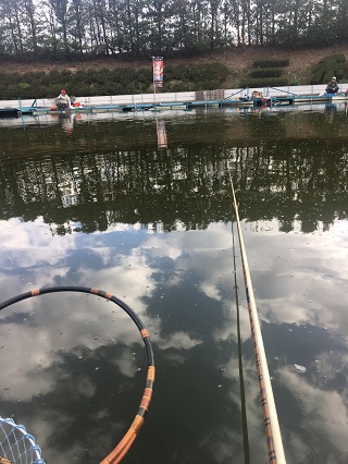 こんな感じ