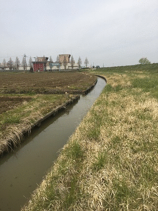 大移動しました