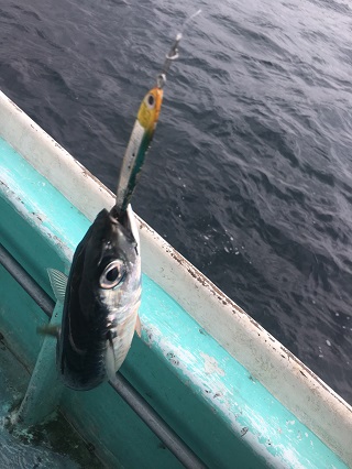 うむ。カタい釣り