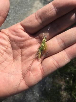 よろしく頼むよ？